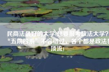 民商法最好的大学(想要报考政法大学？“五院四系”不容错过，各个都是政法界顶流)