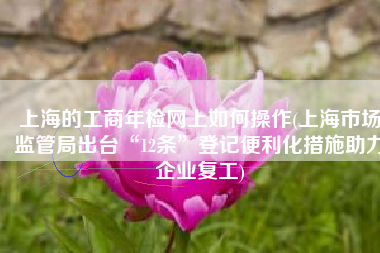 上海的工商年检网上如何操作(上海市场监管局出台“12条”登记便利化措施助力企业复工)