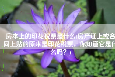 房本上的印花税票是什么(房产证上或合同上贴的原来是印花税票，你知道它是什么吗？)