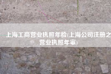 上海工商营业执照年检(上海公司注册之营业执照年审)