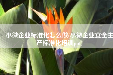 小微企业标准化怎么做(小微企业安全生产标准化培训ppt)