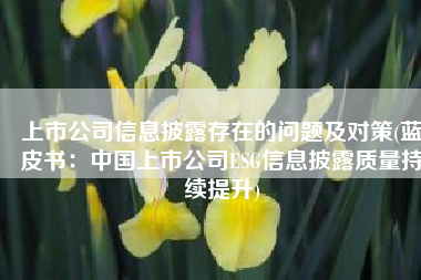 上市公司信息披露存在的问题及对策(蓝皮书：中国上市公司ESG信息披露质量持续提升)
