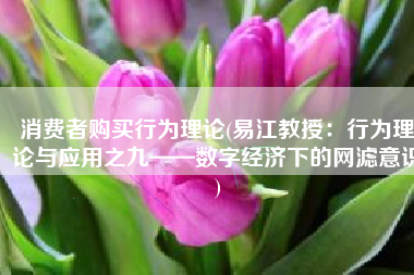消费者购买行为理论(易江教授：行为理论与应用之九——数字经济下的网滤意识)