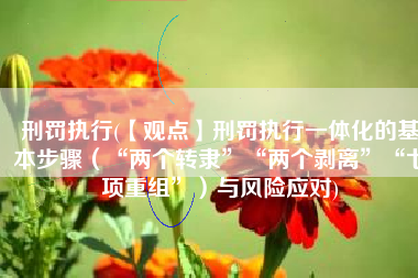 刑罚执行(【观点】刑罚执行一体化的基本步骤（“两个转隶”“两个剥离”“七项重组”）与风险应对)