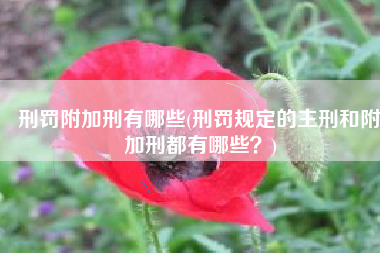 刑罚附加刑有哪些(刑罚规定的主刑和附加刑都有哪些？)