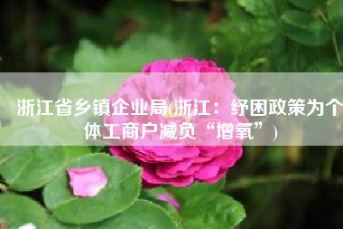 浙江省乡镇企业局(浙江：纾困政策为个体工商户减负“增氧”)