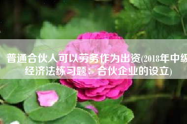 普通合伙人可以劳务作为出资(2018年中级经济法练习题：合伙企业的设立)