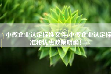 小微企业认定标准文件(小微企业认定标准和优惠政策明确！)