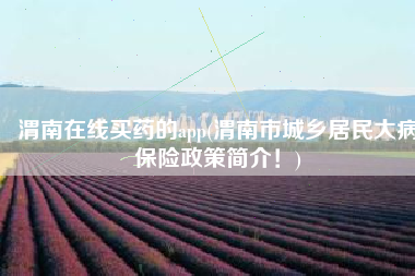 渭南在线买药的app(渭南市城乡居民大病保险政策简介！)