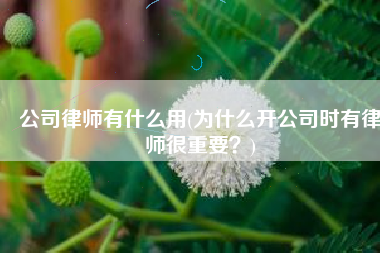 公司律师有什么用(为什么开公司时有律师很重要？)
