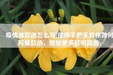 疫情催款函怎么写(律师手把手教你如何写催款函，增加更多官司赢面)
