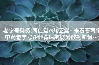 老字号财务(同仁堂VS九芝堂~来看看两个中药老字号企业背后的财务数据如何…)