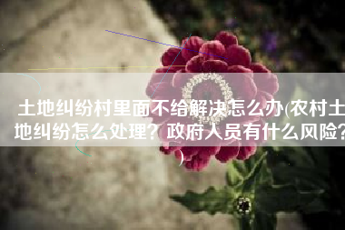 土地纠纷村里面不给解决怎么办(农村土地纠纷怎么处理？政府人员有什么风险？)