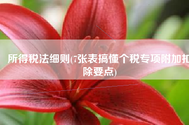 所得税法细则(7张表搞懂个税专项附加扣除要点)