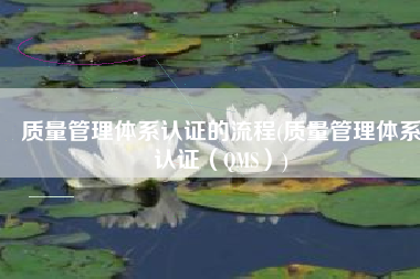 质量管理体系认证的流程(质量管理体系认证（QMS）)