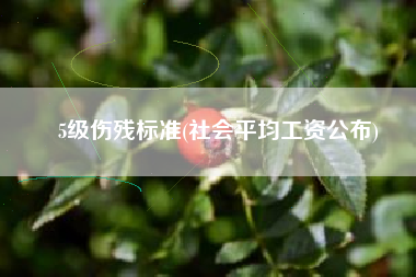 5级伤残标准(社会平均工资公布)