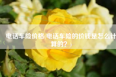 电话车险价格(电话车险的价钱是怎么计算的？)