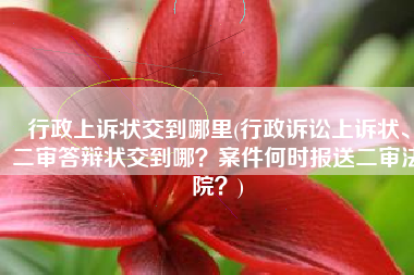 行政上诉状交到哪里(行政诉讼上诉状、二审答辩状交到哪？案件何时报送二审法院？)