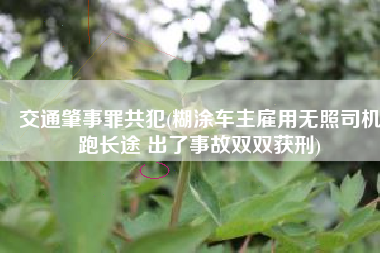 交通肇事罪共犯(糊涂车主雇用无照司机跑长途 出了事故双双获刑)