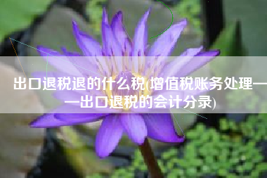 出口退税退的什么税(增值税账务处理——出口退税的会计分录)