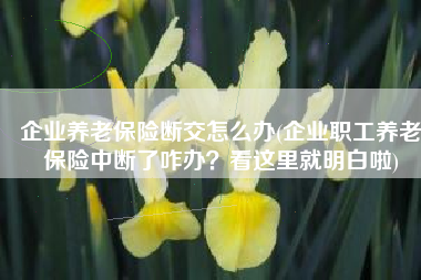 企业养老保险断交怎么办(企业职工养老保险中断了咋办？看这里就明白啦)