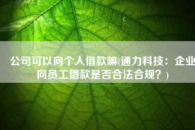 公司可以向个人借款嘛(通力科技：企业向员工借款是否合法合规？)