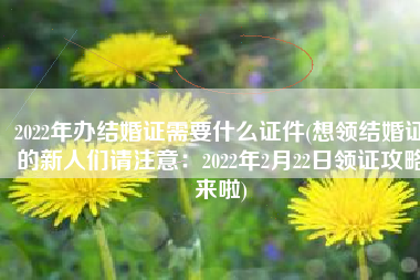 2022年办结婚证需要什么证件(想领结婚证的新人们请注意：2022年2月22日领证攻略来啦)