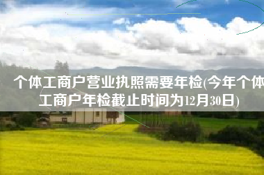 个体工商户营业执照需要年检(今年个体工商户年检截止时间为12月30日)
