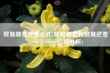 贸易顺差逆差公式(贸易顺差和贸易逆差（一）——公司分析)