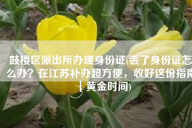 鼓楼区派出所办理身份证(丢了身份证怎么办？在江苏补办超方便，收好这份指南｜黄金时间)
