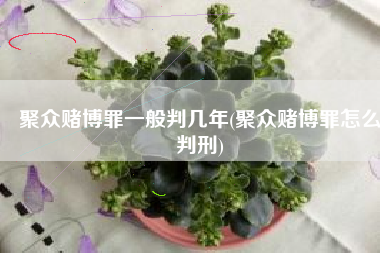聚众赌博罪一般判几年(聚众赌博罪怎么判刑)