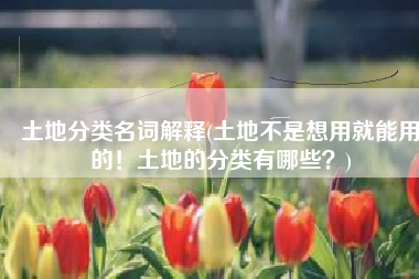 土地分类名词解释(土地不是想用就能用的！土地的分类有哪些？)