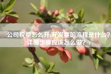 公司税票怎么开(开发票的流程是什么？详细步骤应该怎么做？)