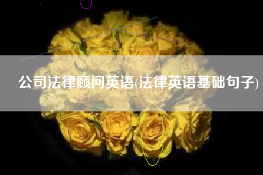 公司法律顾问英语(法律英语基础句子)