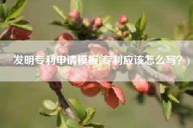 发明专利申请模板(专利应该怎么写？)