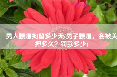男人嫖娼拘留多少天(男子嫖娼，会被关押多久？罚款多少)