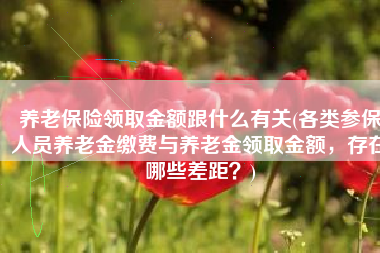 养老保险领取金额跟什么有关(各类参保人员养老金缴费与养老金领取金额，存在哪些差距？)