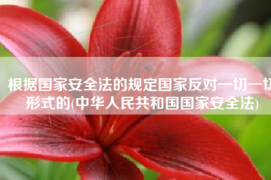 根据国家安全法的规定国家反对一切一切形式的(中华人民共和国国家安全法)