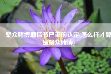 聚众赌博罪情节严重的认定(怎么样才算是聚众赌博)
