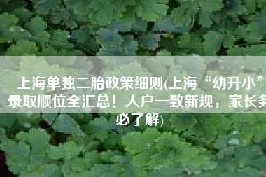 上海单独二胎政策细则(上海“幼升小”录取顺位全汇总！人户一致新规，家长务必了解)