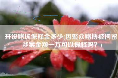 开设赌场保释金多少(因聚众赌博被拘留，涉案金额一万可以保释吗？)