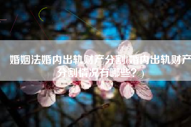 婚姻法婚内出轨财产分割(婚内出轨财产分割情况有哪些？)