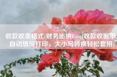 收款收条格式(财务出纳Excel收款收据单，自动填写打印，大小写转换轻松套用)