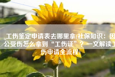 工伤鉴定申请表去哪里拿(社保知识：因公受伤怎么拿到“工伤证”？一文解读工伤申请全流程)