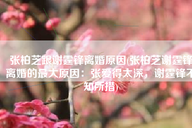 张柏芝跟谢霆锋离婚原因(张柏芝谢霆锋离婚的最大原因：张爱得太深，谢霆锋不知所措)