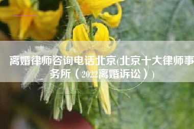 离婚律师咨询电话北京(北京十大律师事务所（2022离婚诉讼）)