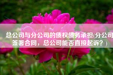 总公司与分公司的债权债务承担(分公司签署合同，总公司能否直接起诉？)