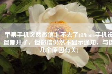 苹果手机突然微信上不去了(iPhone手机设置都开了，但微信仍然不显示通知，与这几个原因有关)