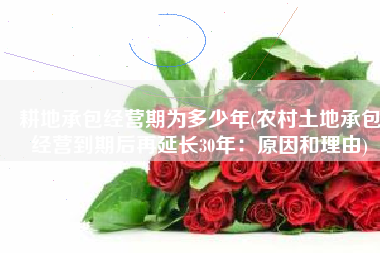 耕地承包经营期为多少年(农村土地承包经营到期后再延长30年：原因和理由)