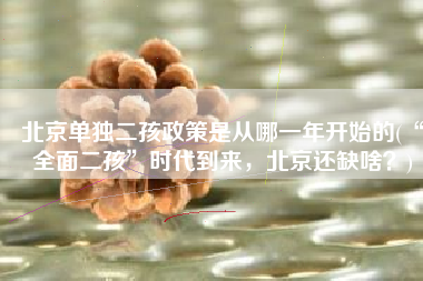北京单独二孩政策是从哪一年开始的(“全面二孩”时代到来，北京还缺啥？)